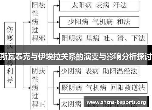 斯瓦泰克与伊埃拉关系的演变与影响分析探讨